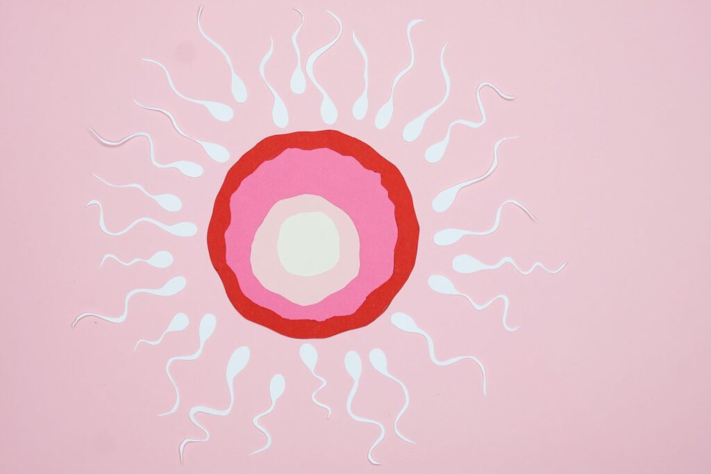 Espermatocele: Causas, Sintomas e Tratamentos
