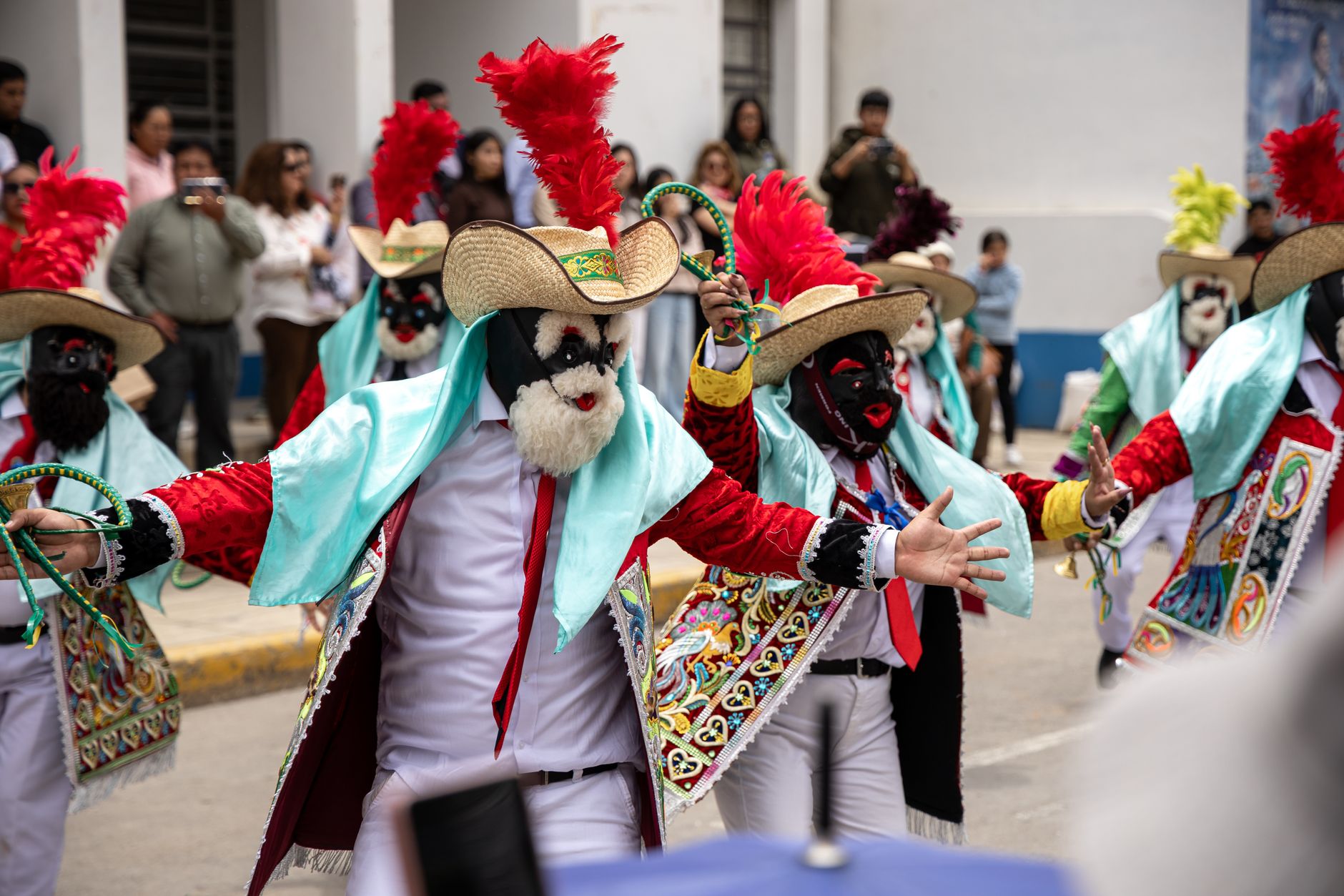 pantogar pantogar