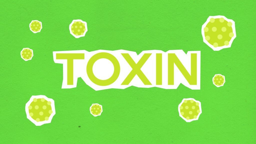 Toxoplasmose: Entenda o Que É, Sintomas e Tratamentos