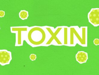 toxoplasmose toxoplasmose
